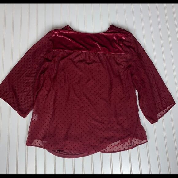 Style & Co Eyelet Red Swiss Dot Velvet Velour Yoke Top Blouse 3X NWT - Picture 8 of 11